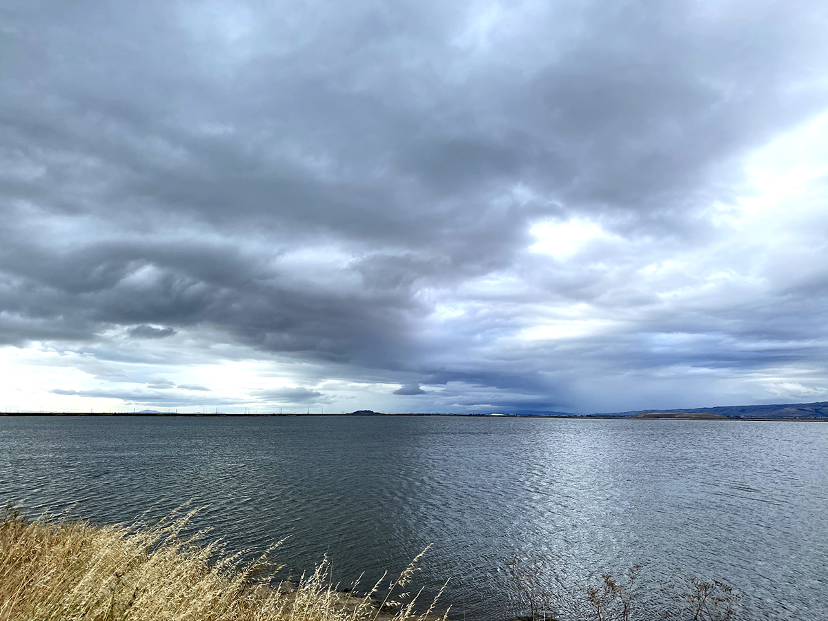 [산호세] Alviso Marina County Park