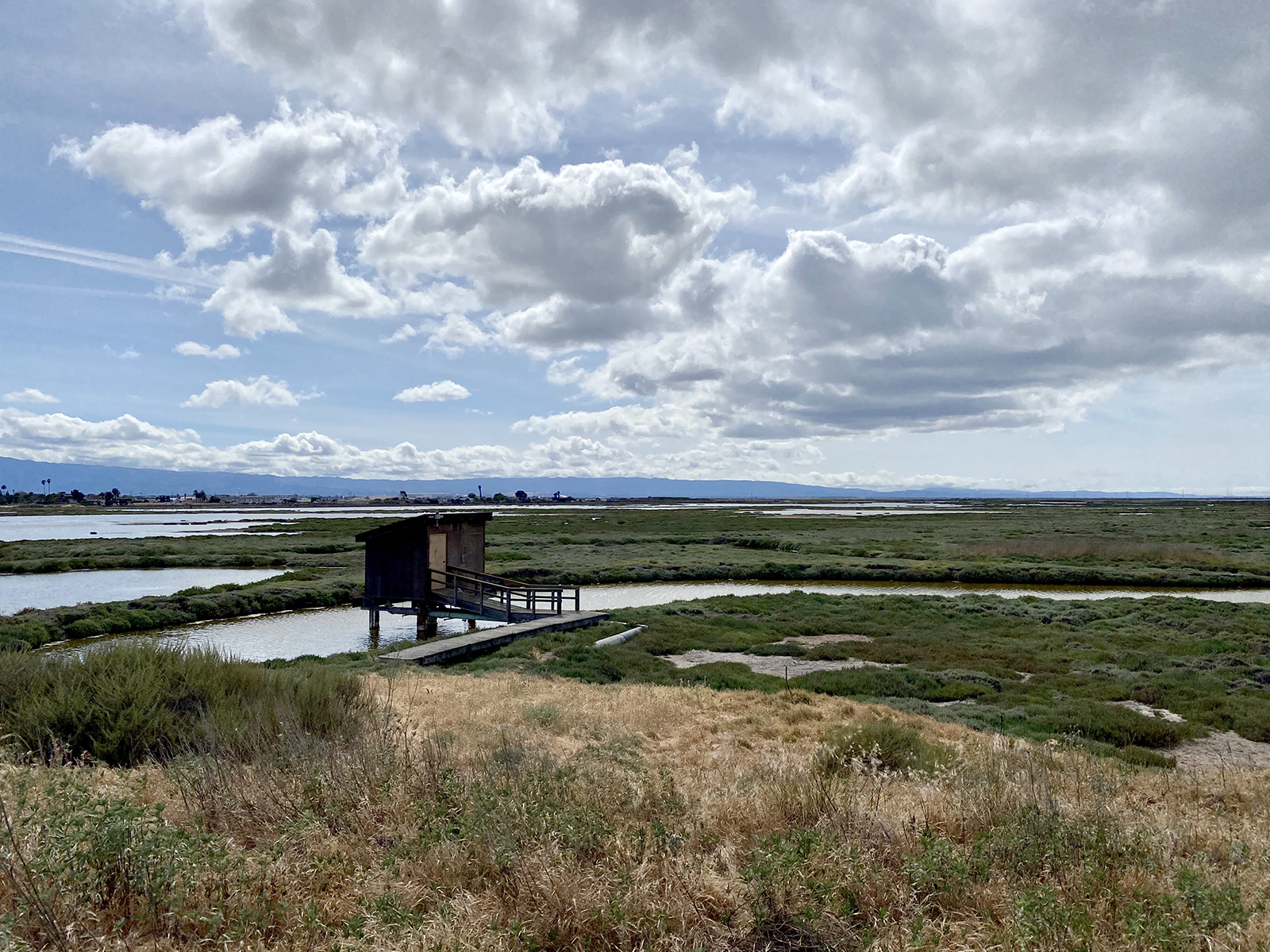 [산호세] Don Edwards SF Bay National Wildlife Refuge