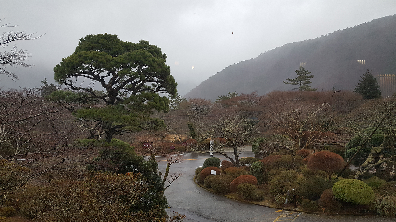 응접실에서 바라본 정원